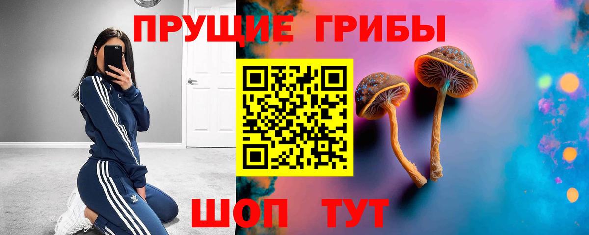 Псилоцибиновые грибы ЛСД Сорочинск